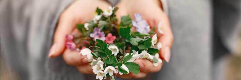 hands handling colorful flowers green leaves