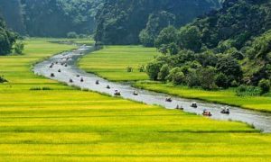 green peaceful beautiful field lake with small boats forest