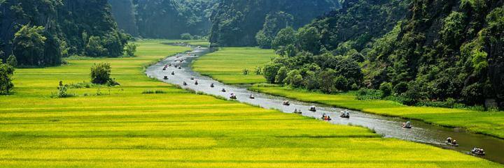 green peaceful beautiful field lake with small boats forest