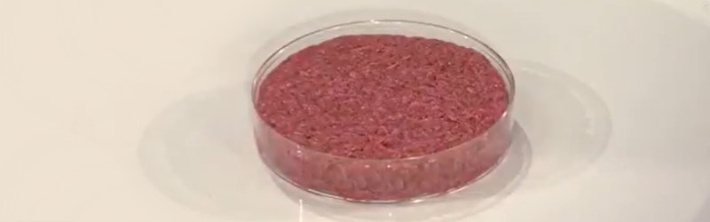 Lab Grown Meat