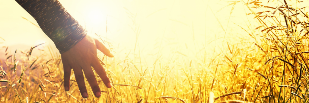 hand moving along field in sunny sky